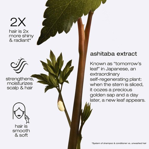 Shu Uemura art of hair Ashita Supreme Strengthening Mask For Damaged Hair - Deeply Nourishes and Hydrates, Enhances Shine and Smoothness, Strengthens Strands to Reduce Breakage, 6 Fl Oz