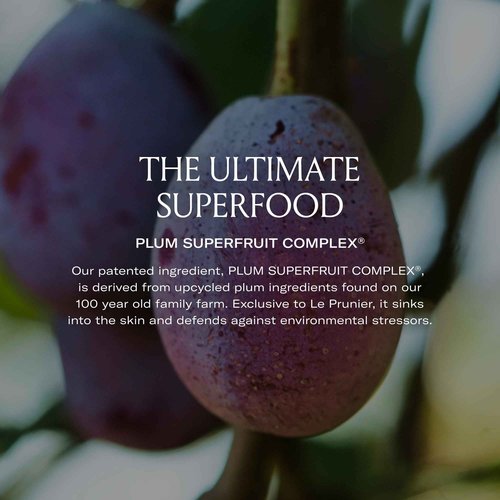 Le Prunier Plumscreen® SPF 31, 2oz Broad Spectrum UVA UVB HEV Protection, PA+++