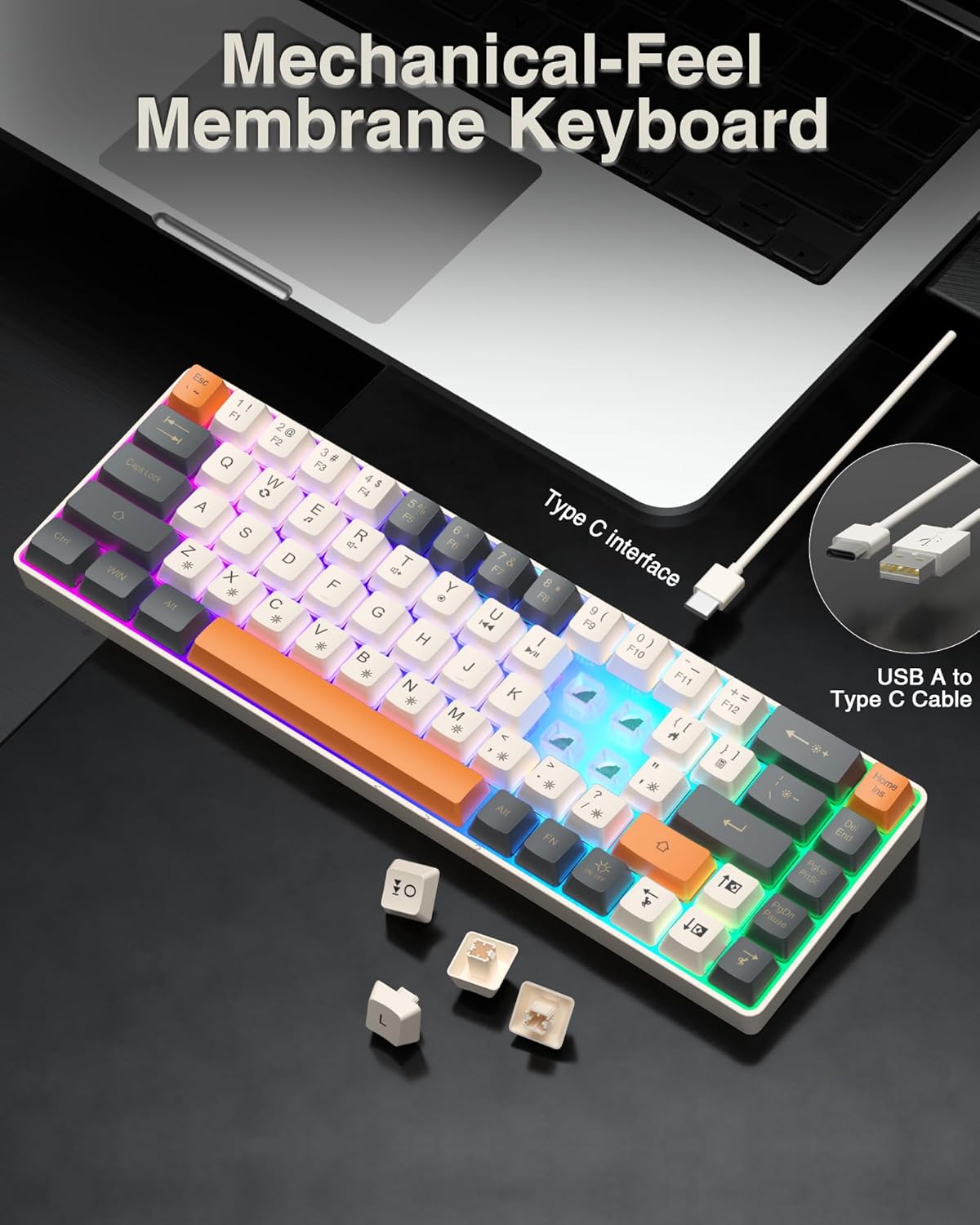 60% Gaming Keyboard,Small Keyboard USB-C Wired,Compact Mini Teclado Gamer,68 Keys RGB Backlit Portable Membrane Keyboards for Business Trips,Office,PC Games (SK968,White)