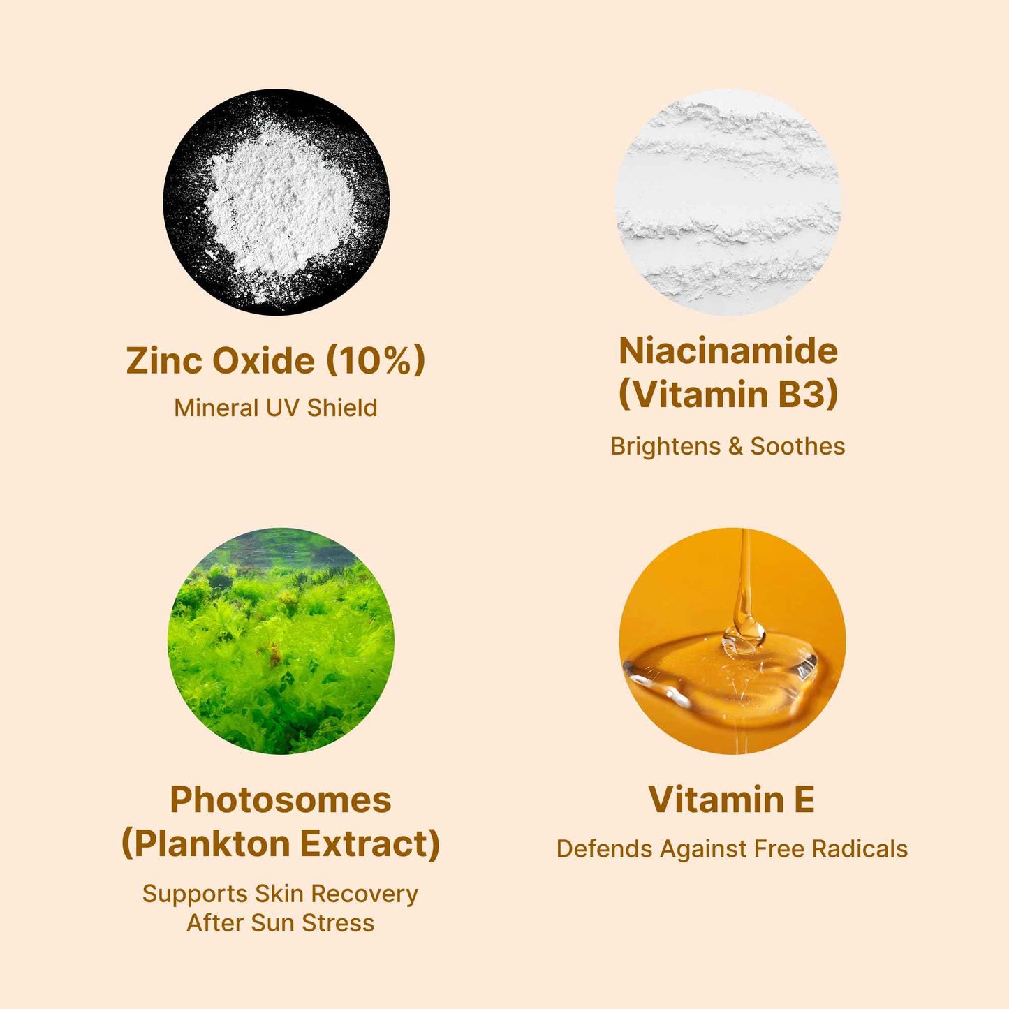 Lerinn ZincPure Sunmilk SPF 50 PA++++, 100% Mineral Zinc Oxide Face Sunscreen, Broad Spectrum UVA/UVB, Lightweight, No White Cast, Fragrance-Free Daily Moisturizer for Sensitive Skin (40 ml)