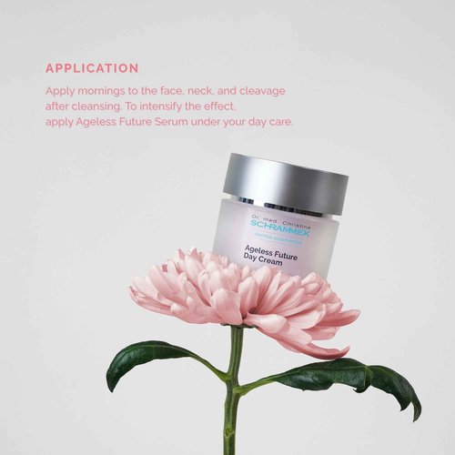 Ageless Future Day Cream (1.7 fl oz) - Introductory Anti-Aging Day Care - Stimulates Collagen Synthesis - with Hyaluronic Acid & Vitamin E - Face Moisturizer - Face Cream - Skin Care - Dr. Schrammek