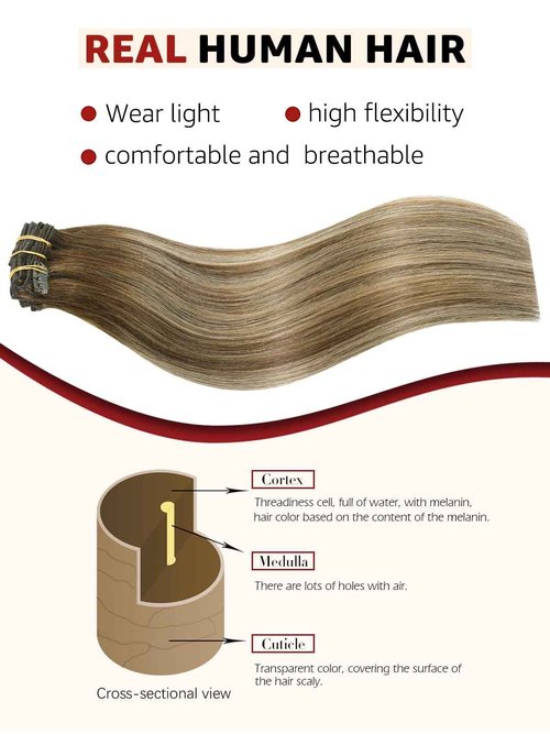 SAFIRENY Clip in Hair Extensions Real Human Hair Balayage Chocolate Brown To Caramel Blonde 18 Inch 120g Natural Straight Clip On Hair Extensions 6pcs Per Set with 18 Clips (#4/27/4,18")