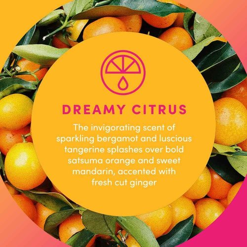 Clean Revolution Liquid Gel Hand Soap, Silky Rich Liquid, Quick Lather, Fast Rinsing, (Dreamy Citrus) 128 Fl Oz, 4 Pack - Made in USA