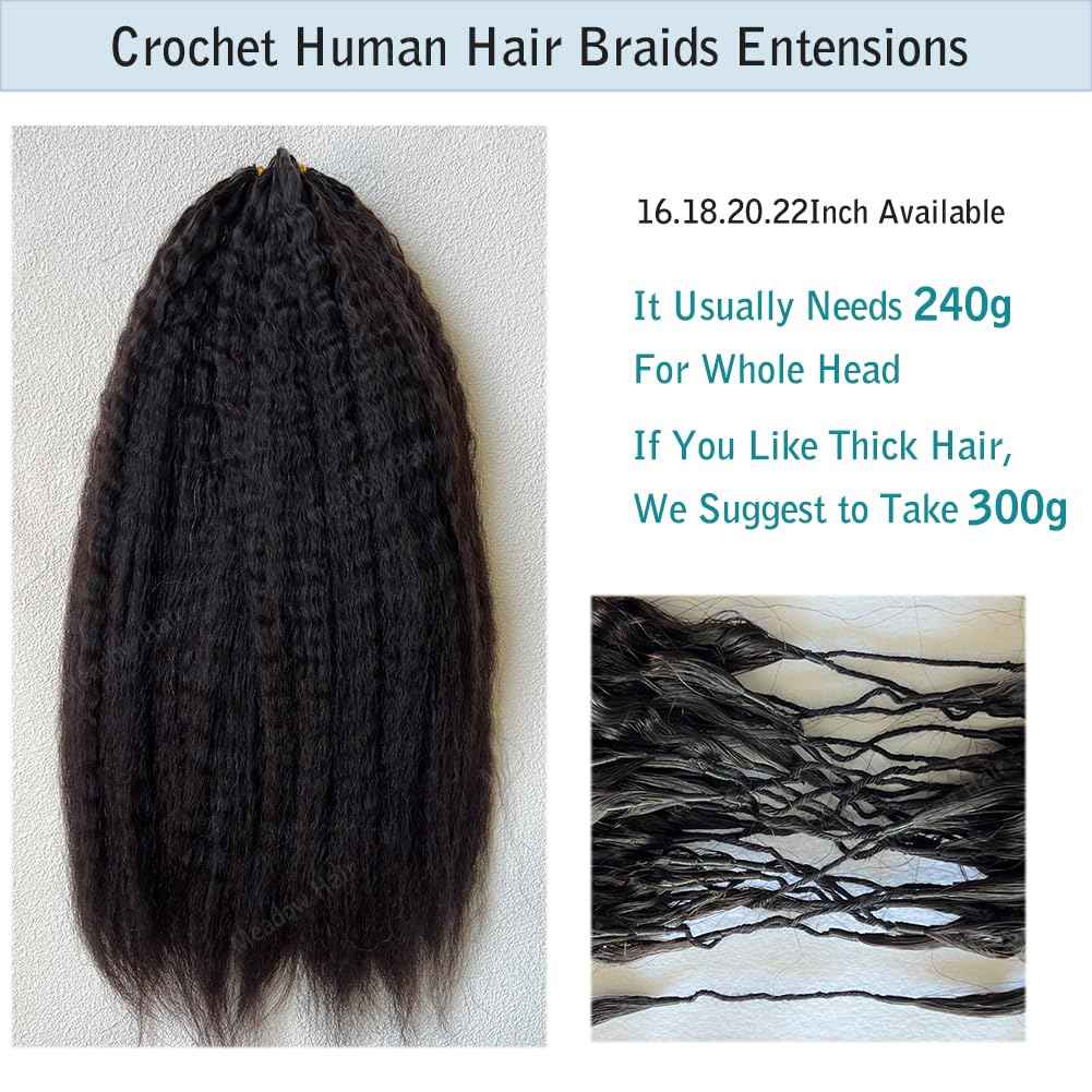 Kinky Straight Knotless Pre Separated Crochet Human Hair Extensions Pre Looped Braids Bundles With Threading Burmese Virgin Human Hair for Braiding Micro Link Meadow Hair 22inch 60g