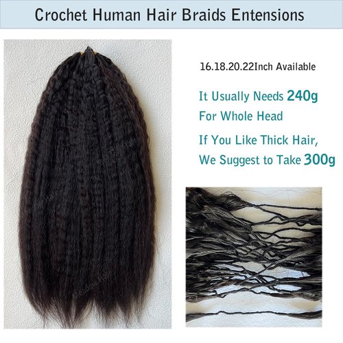 Kinky Straight Knotless Pre Separated Crochet Human Hair Extensions Pre Looped Braids Bundles With Threading Burmese Virgin Human Hair for Braiding Micro Link Meadow Hair 20inch 60g