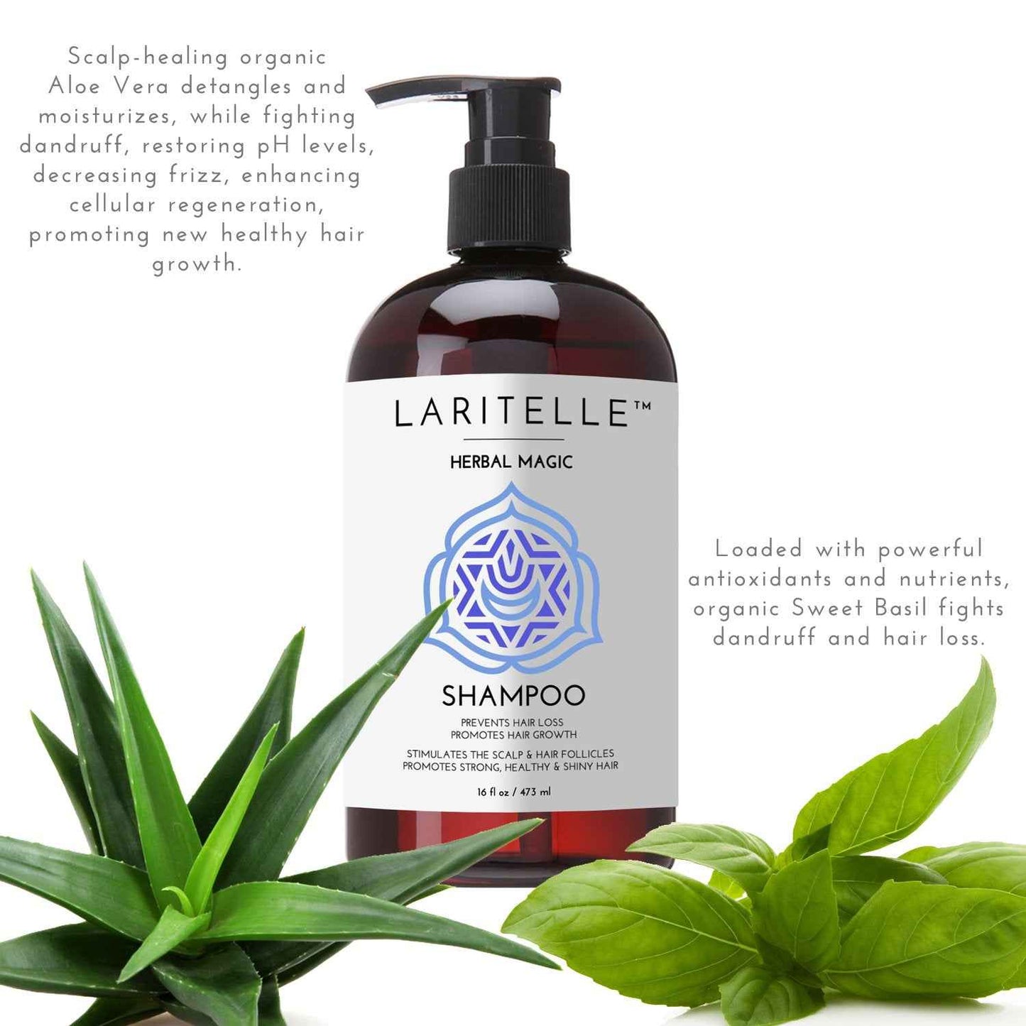 Laritelle Organic Unscented Shampoo | Hair Strengthening & Clarifying | Hypoallergenic, Sulfate-Free | With Rosemary & Saw Palmetto