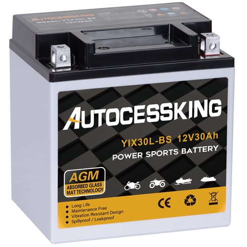 Autocessking YTX30L-BS Motorcycle Battery, 12V 30AH Rechargeable Maintenance Free Sealed AGM Battery Powersport Replacement Battery for ATV and Scooter
