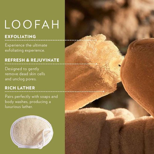Olivé Olive Oil Gift Box 5 Piece Jasmine Scent Body Wash 500ml Hand Wash 500ml Two 125g Bar Soaps With Loofah Moisturizing Gentle Cleanse Set for Face Body Hands and Sensitive Skin