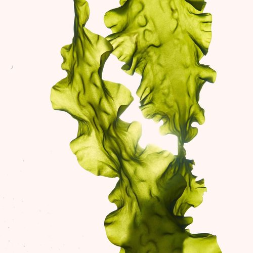 ANNEMARIE BÖRLIND - SYSTEM ABSOLUTE Smoothing Eye Cream - Vitamin C, Darutoside and Caffeine Eye Wrinkle Smoothing - Tones, Plumps, and Rejuvenates - 0.5 Fl Oz