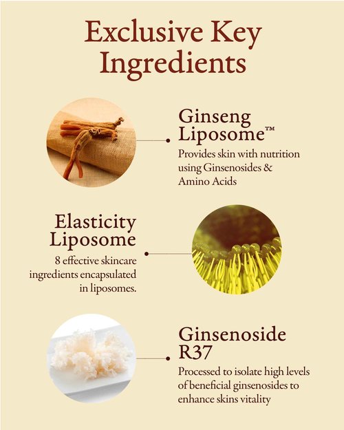 SOORYEHAN Micro Ginseng Essential Skincare Special gift Set (11.2 fl oz) - Boosts Skin Density, Elasticity, and Vitality . with Ginseng Liposome™ for Youthful Radiance – Korea Skincare.
