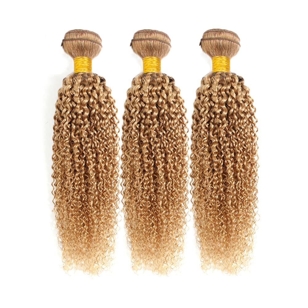 #27 Kinky Curly Bundle Honey Blonde Human Hair 3 Bundles Brazilian Unprocessed Virgin Hair Extensions Double Weft Bundle For Women 12 14 16 Inch