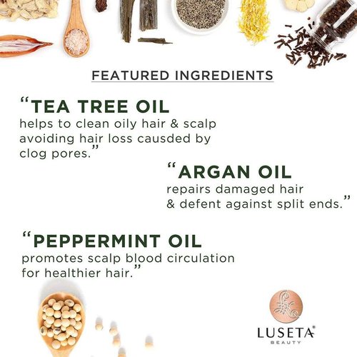 Tea Tree Set with Hair Oil Sreum and Hair Mask
