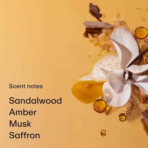 PHLUR Somebody Wood Eau de Parfum - Full Size Perfume Fragrance - Spicy Woody Perfume with Bergamot, Lemon, Cedarwood, Sandalwood, Musk & Vanilla (50mL)