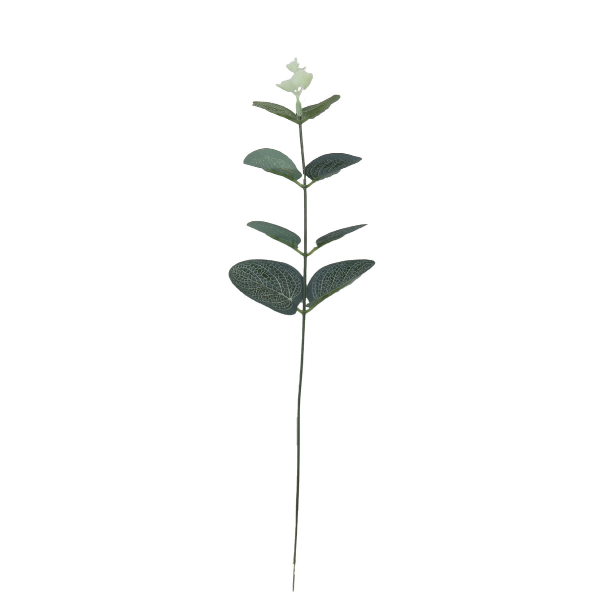Green Leaf Potted Flower Arrangement for Home & Garden Decor