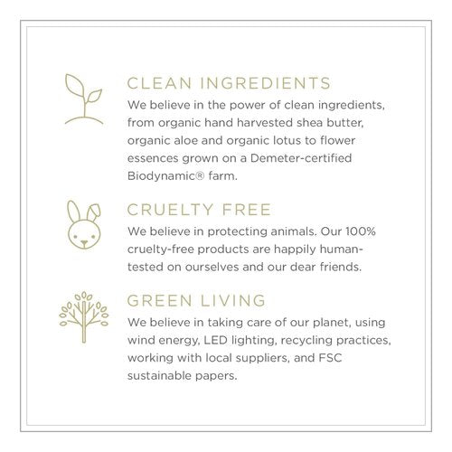 Zents Eau de Parfum (Earth) for Women & Men | Long-Lasting Clean Fragrance with Sandalwood, Fir & Bergamot | Woody & Fresh Scent | 1.69 oz