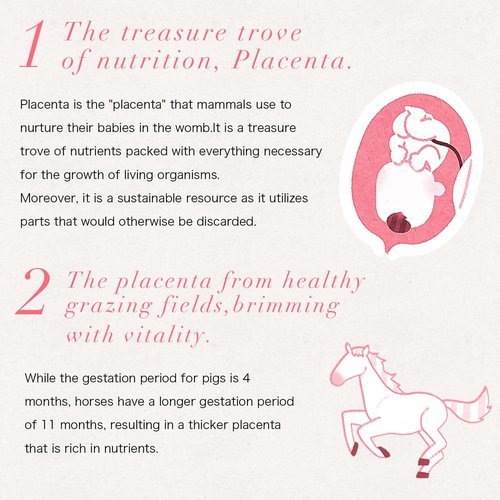 zero+PLessence shampoo & conditioner (shampoo & conditioner - US)