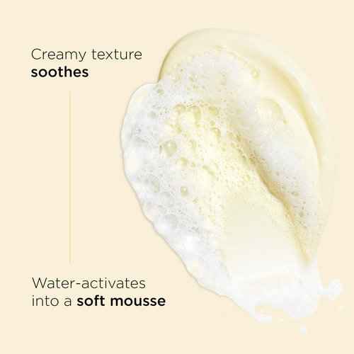 Clarins NEW Hydrating Gentle Foaming Face Cleanser | Cleanses, Soothes, and Softens | Contains Aloe Vera to Boost Hydration | Soap-Free | SLS-Free| Normal To Dry Skin Types | 4.2 Ounces (Pack of 2)