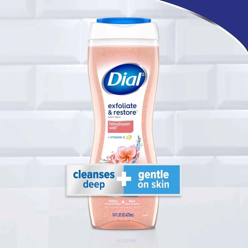 Dial Enriching Body Wash, Himalayan Salt 16 oz (Pack of 4)