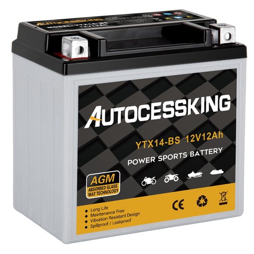 Autocessking YTX14-BS 12V 12Ah Motorcycle Battery, Rechargeable Sealed AGM Battery Maintenance Free Powersport Replacement Battery for ATV and Scooter