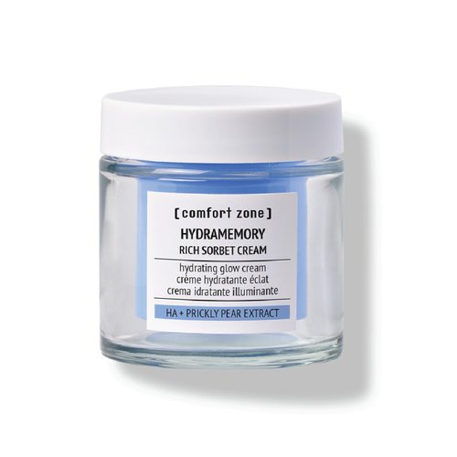 Hydramemory Rich Sorbet Cream