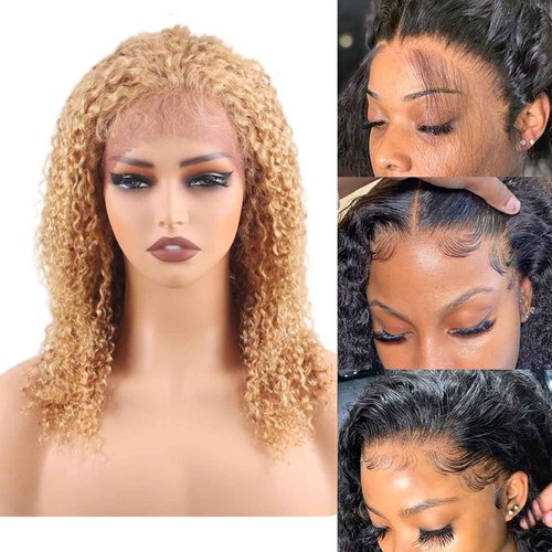 ManeMajesty 18 Inch Honey Blonde Kinky Curly Lace Front Wigs Human Hair 180% Density Afro Curly Wigs 13x4 360°Full Lace Lace Frontal Wig Pre Plucked 12A Brazilian Glueless Wig for Black Women #27