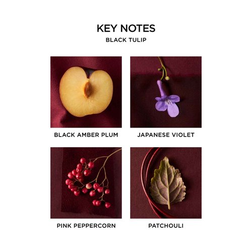 NEST New York Black Tulip Eau de Parfum (Full Size) - 50 mL - Vegan & Cruelty Free