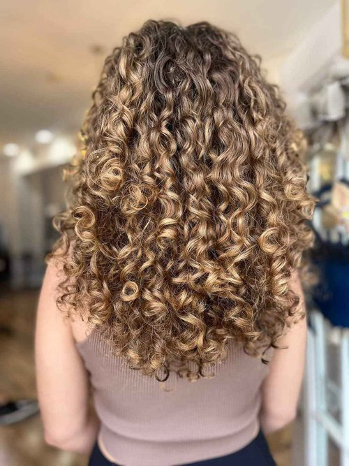 Windward Curl Seastate Gel - Curly Hair Styling, 360ml/12 fl. oz, Light-weight, Crunch-free, Cruelty-free, Shine, Humidity Resistance, Curl Enhancement for All Curl Types