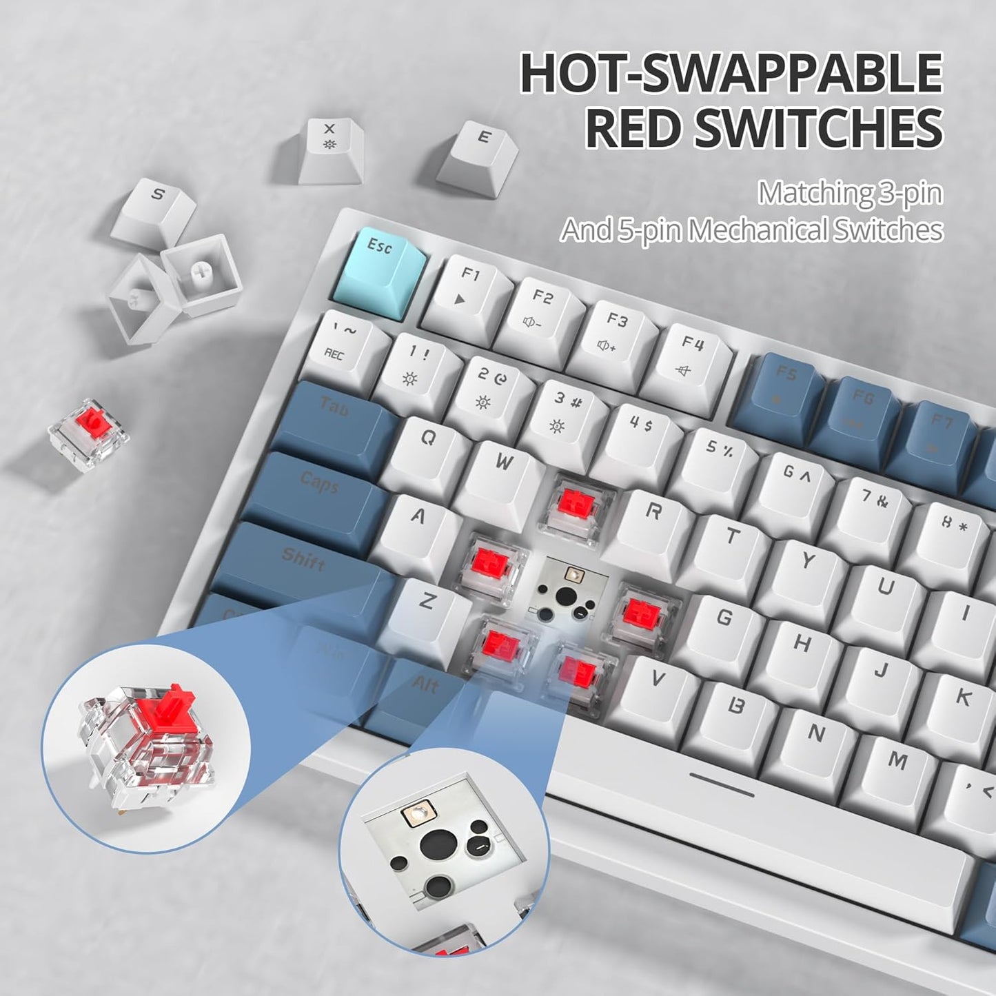 75% TKL Wired Mechanical Keyboard,RGB Backlit Gasket Mount 82 Key Hot Swappable Custom Linear Red Switch Gaming Keyboard with Volume Knob & PBT Keycaps (82 Monster B)