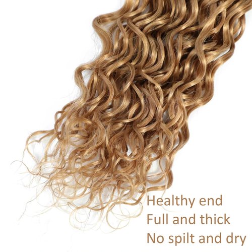 Habiliana Bundles Human Hair 18 20 22 Inch Water Wave Brown 27 Human Hair Bundles 11A Unprocessed Brazilian Virgin Quick Weave Hair Extensions for Black Women