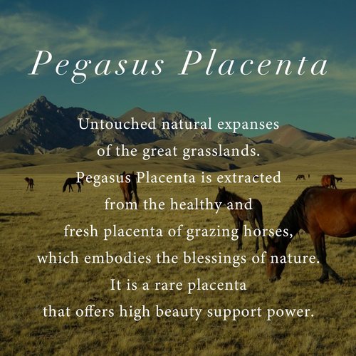 zero+PLessence shampoo & conditioner (shampoo & conditioner - US)