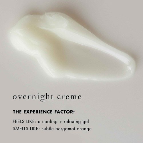 Bioelements Oil Control Sleepwear - 1.5 fl oz - Night Cream for Combination & Oily Skin - With Calcium, Retinol & Peptides - Vegan, Gluten Free - Never Tested on Animals