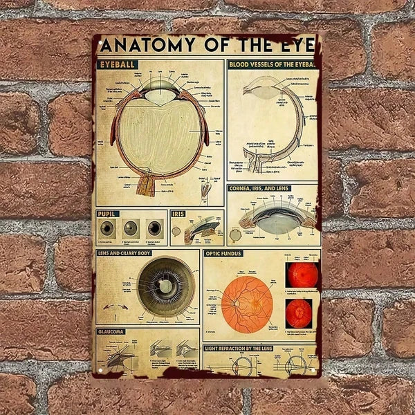 Metal Tin Sign Wall Decoration - 20 cm x 20 cm