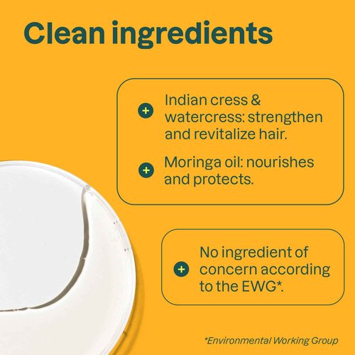 ATTITUDE Nourishing Shampoo for Curly Hair 3a – 3c with Moringa Oil, Vegan, Naturally Derived Ingredients, Provides Lightweight Moisture, 16 Fl Oz (Pack of 6)