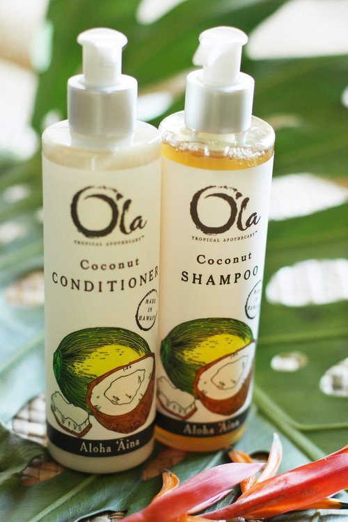 Ola Tropical Apothecary Coconut Organic Shampoo and Conditioner Hair Pair Combo - 8 fl oz each