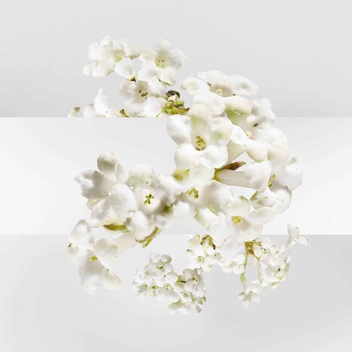 Un Jardin Sur La Lagune by Hermes for Women 3.3 oz Eau de Toilette Spray