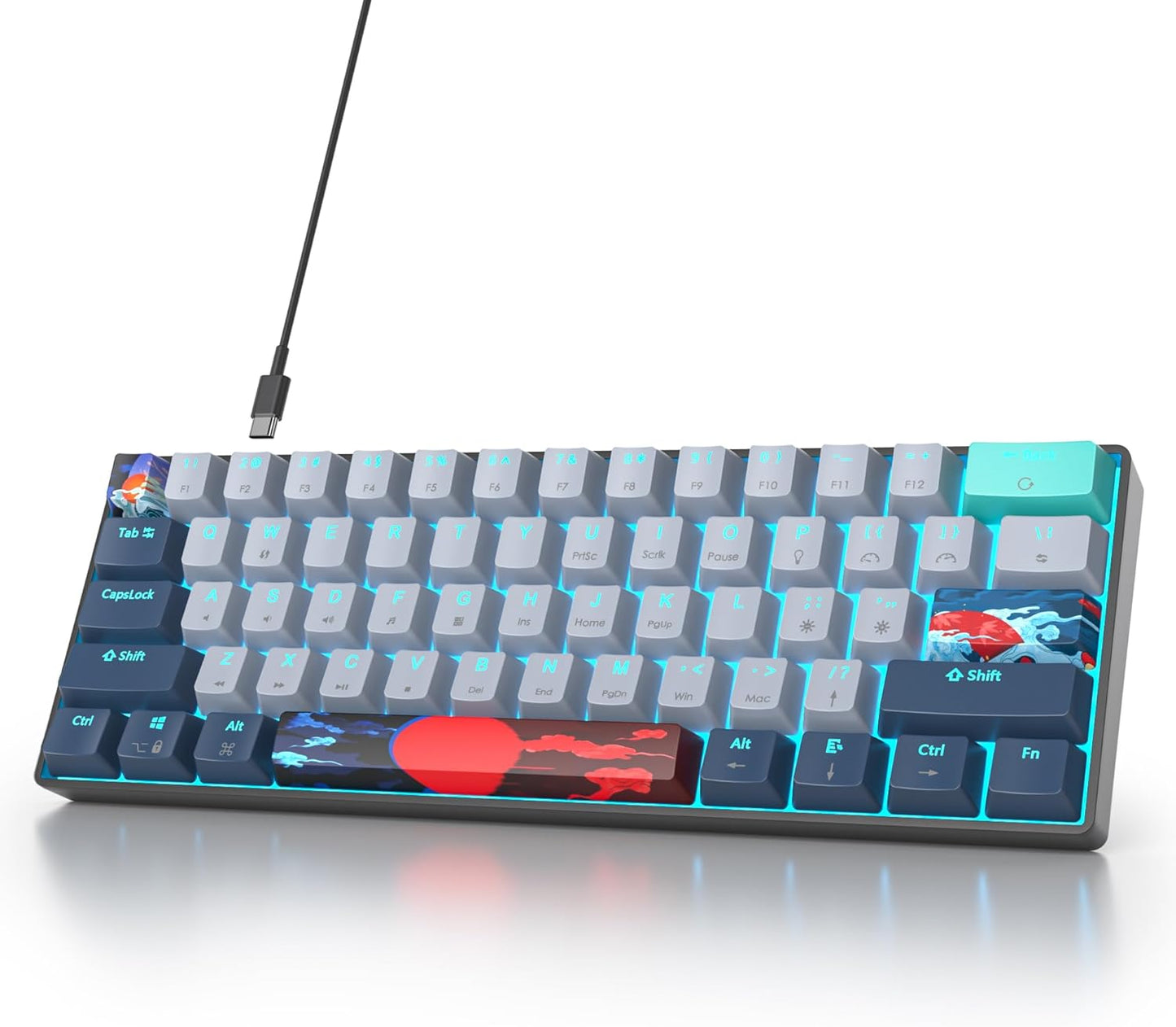 60 Percent Gaming Keyboard 60% Mechanical Keyboard LED Backlit Ultra Compact Wired Keyboard with Red Switch for Windows Laptop Gamer(61 Blue Samurai)