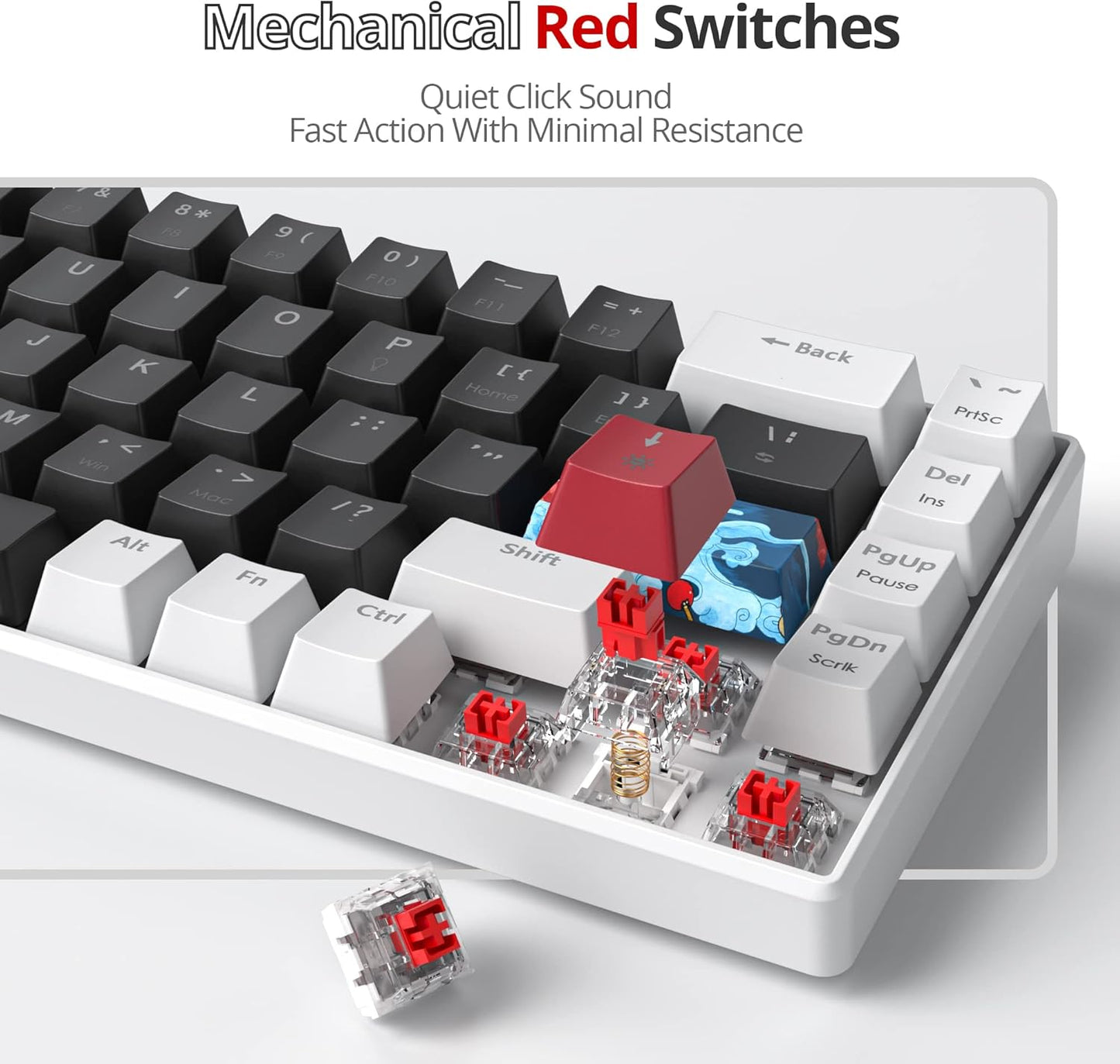 60 Percent Gaming Keyboard 60% Mechanical Keyboard LED Backlit Ultra Compact Wired Keyboard with Red Switch for Windows Laptop Gamer(61 Blue Samurai)