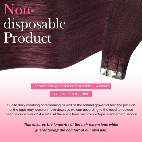 Aison Wine Red Tape in Hair Extensions Human Hair 100% Remy Extensions Silky Straight for Women 20 Pcs/Package(22Inch #99j 60g)