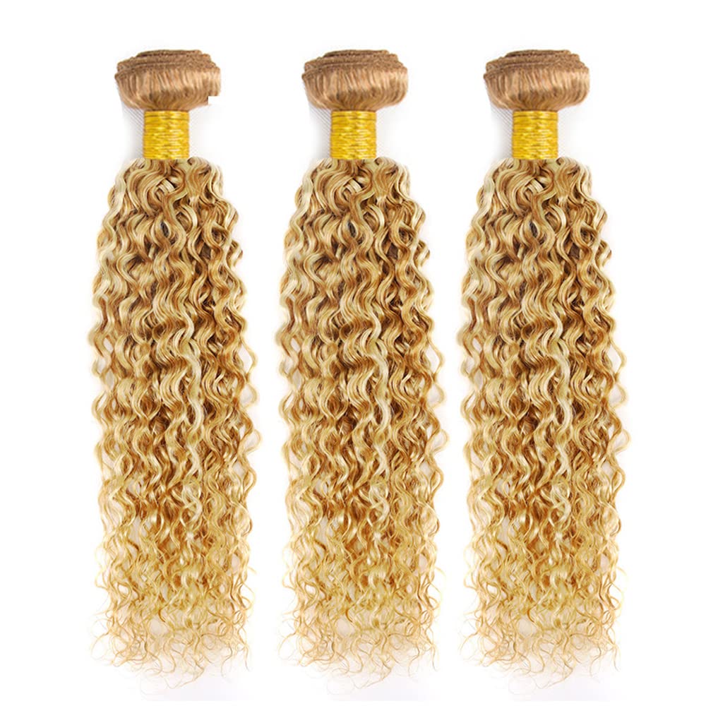 Honey Blonde Bundles Highlight Kinky Curly Bundle Human Hair 20 22 24 Inch Brazilian Virgin Hair 3 Bundles 27/613 Curly Bundle Human Hair Extensions