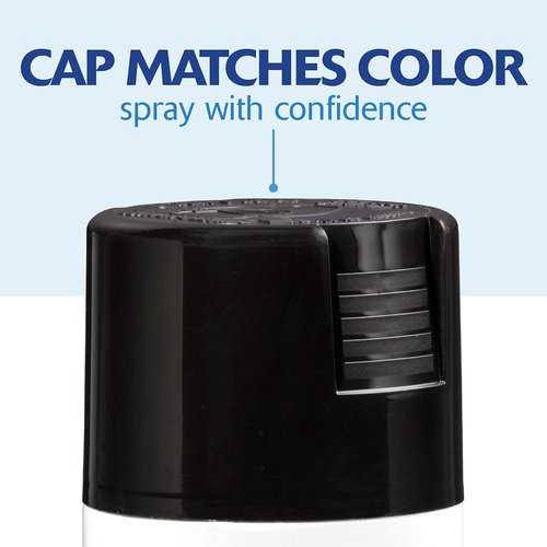 Rust-Oleum 249122 Painter's Touch 2X Ultra Cover Spray Paint, 12 oz, Gloss Black (Pack of 2)