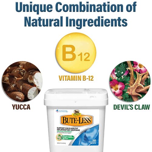 Absorbine Bute-Less Comfort & Recovery Support Supplement, Provides Long-Term Comfort, Gentle on Stomach, Includes Devil’s Claw, Vitamin B-12, Yucca, 10 lb / 160 Day Supply