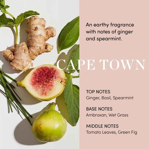 OUAI Fine to Medium Hair Treatment Bundle - Includes Scalp Serum and Masque for Moisturized, Healthy Hair and Scalp (2 Count, 2 Oz/ 8 Oz)