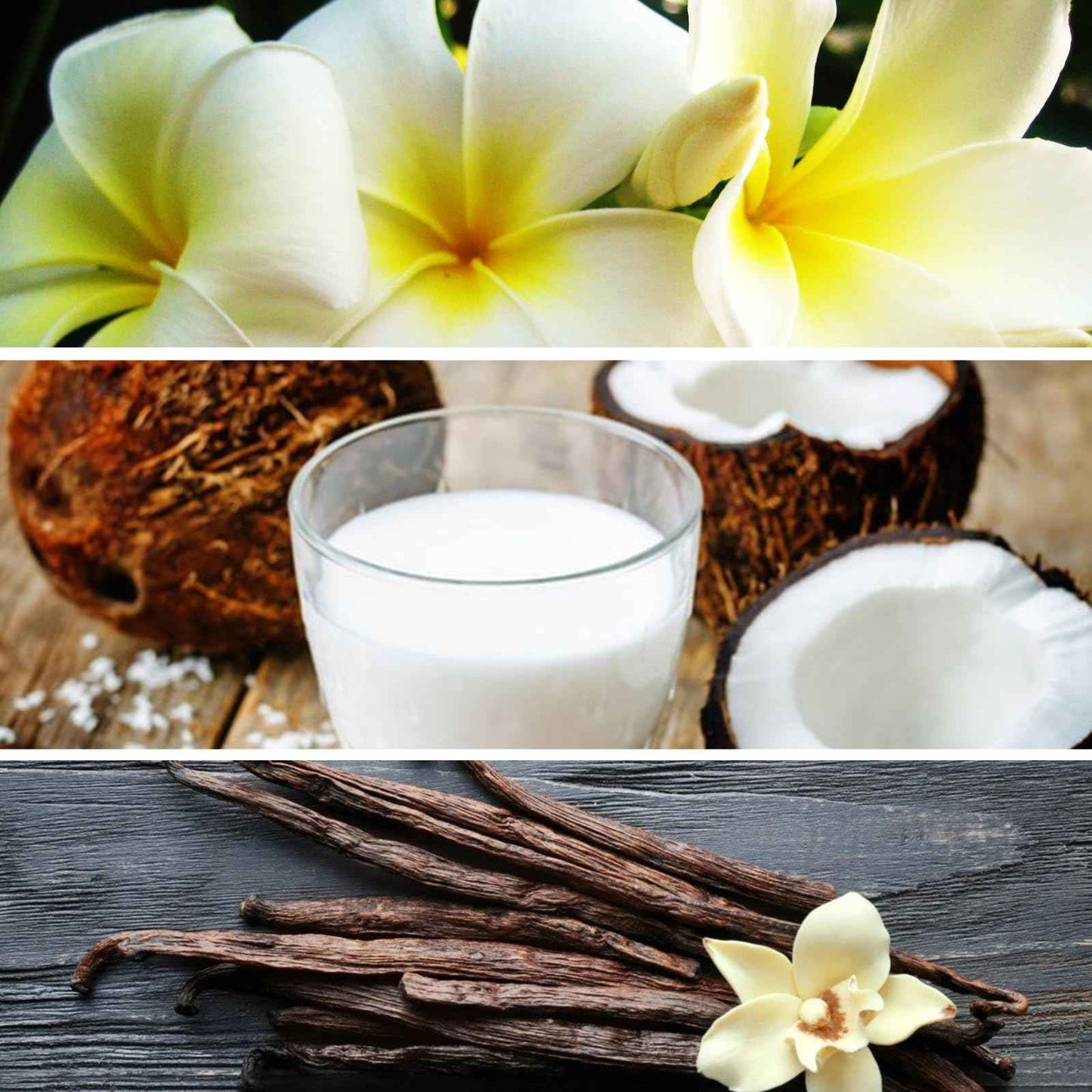 Giardini Di Toscana Borabora for Unisex - 8.45 oz Body Cream