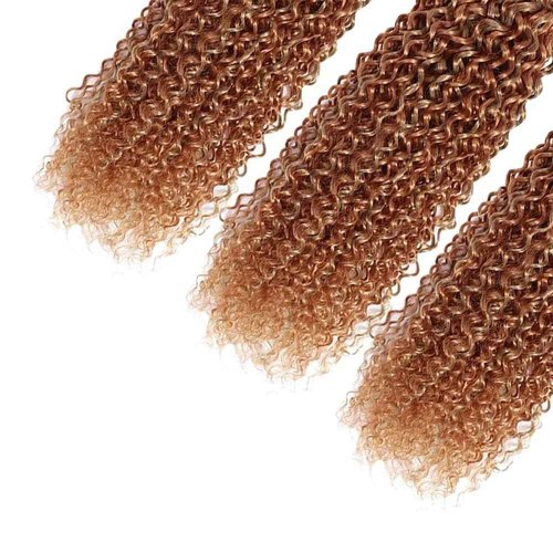 Biliisyff Highlight Kinky Curly Bundle P27/30 Human Hair Weave Brazilian Virgin Remy Hair Two Tone Honey Blonde Mixed With Brown Double Weft Hair 24 26 28 Inch