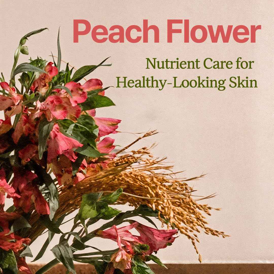 House of Dohwa, Gentle Peach Blossom Overnight Mask l Vitamin C, Rejuvenating, Hydrating l Product of Korea - 1.69 fl. Oz