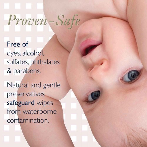 Noodle & Boo Ultimate Baby Body And Face Cleansing Cloths, 12 pk, 864 ct. Unscented & Fragrance Free