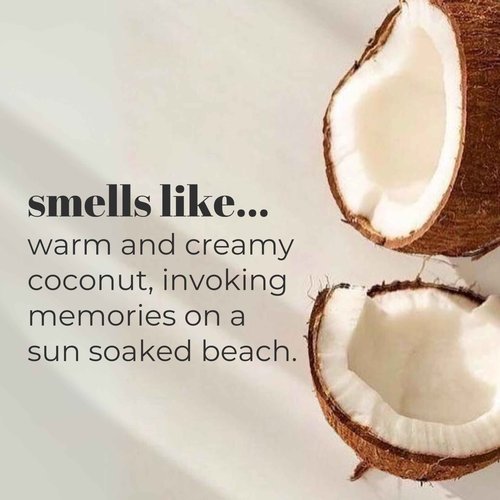 Mountain Ocean Skin Trip Coconut Body Lotion, 8 Oz (Pack of 6), Lightweight, Fast Asborbing Moisturizer for Women and Men, with Coconut Oil, Aloe Vera, & Lanolin