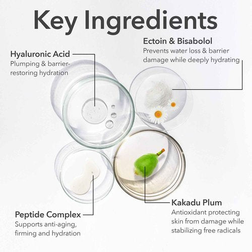 Dr Dennis Gross DermInfusions Fill + Repair Eye Cream: Hydrating & Brightening Treatment for Dark Circles, Fine Lines & Wrinkles, Firms & Smooths 360° Eye Area, 0.5 Oz