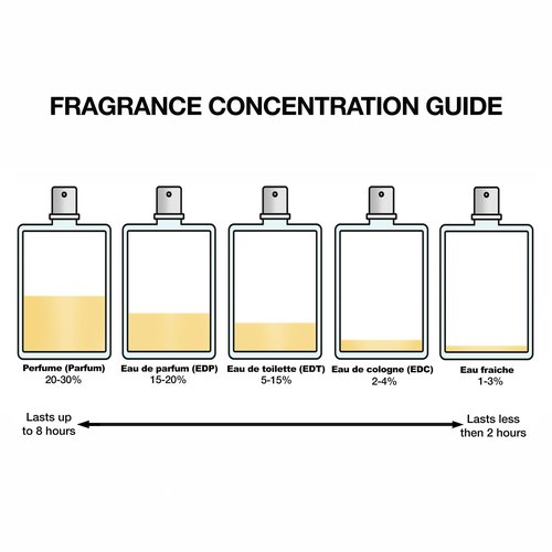 Hermes Men's Terre D'Hermes Intense EDP 3.3 Fl. Oz