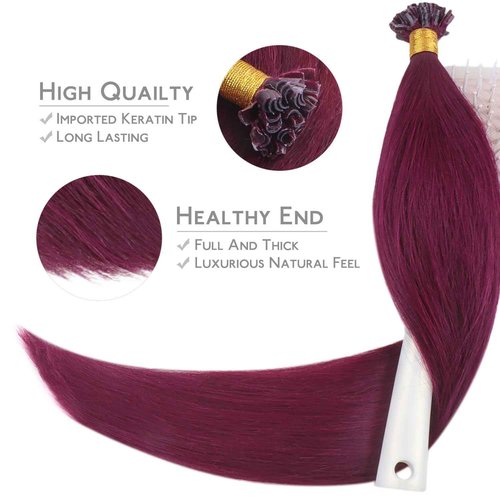 WENNALIFE U Tip Human Hair Extensions - 50g 50s 22 Inch Light Burgundy Remy Invisible Straight Keratin K Tip Real Human Hair